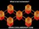 What Is Sol Incinerator